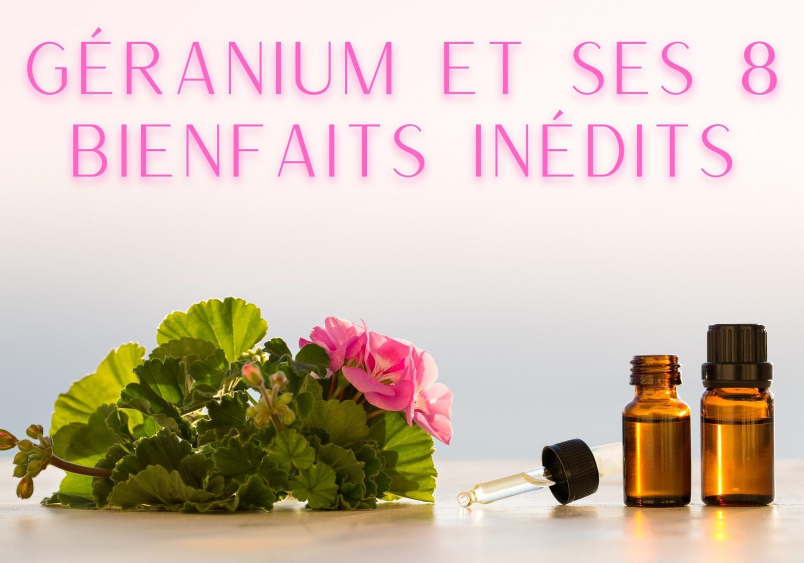 L’huile essentielle de géranium : une merveille naturelle à 8 facettes