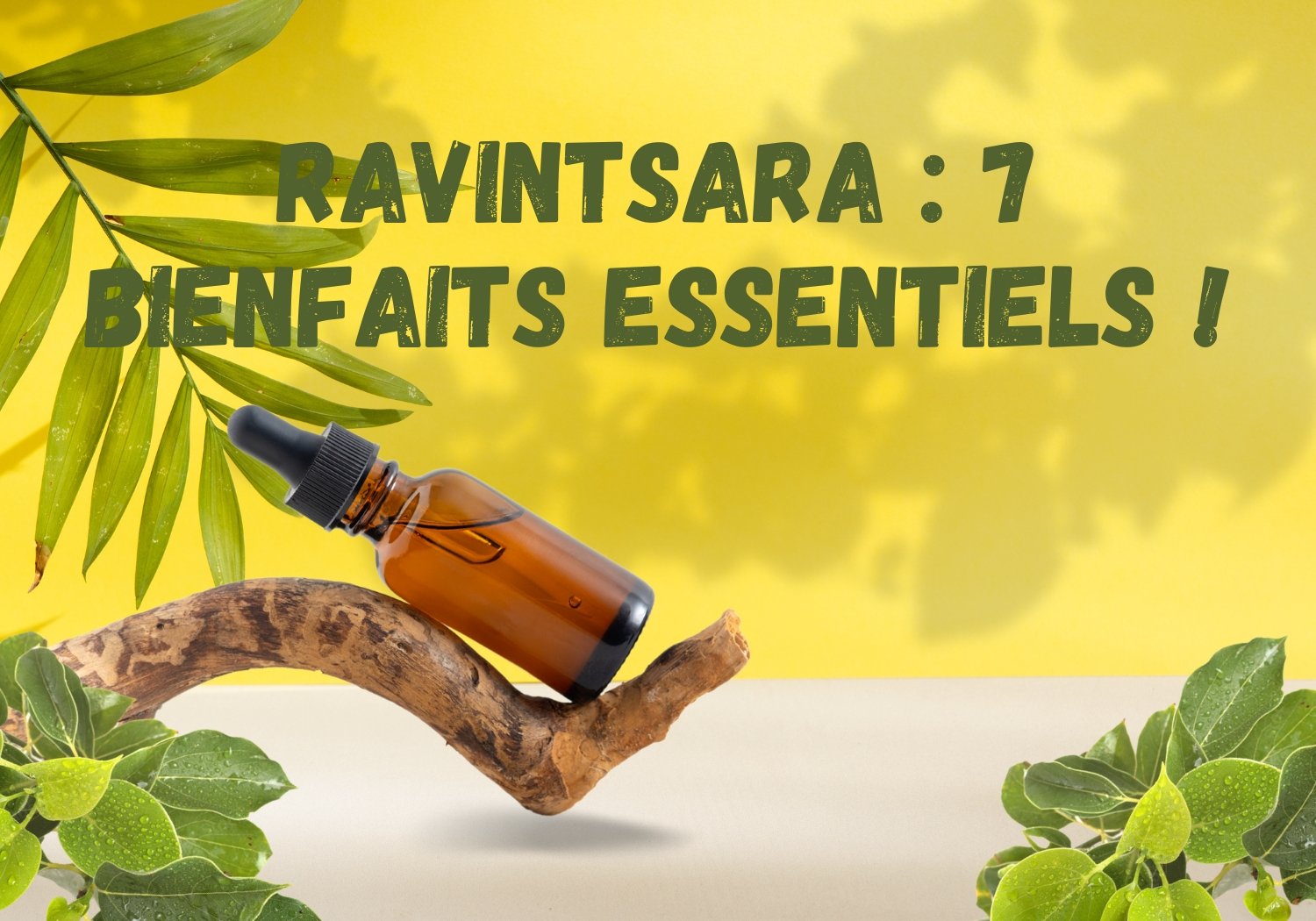 Ravintsara : 7 bienfaits essentiels !